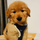 吴 梓豪's avatar